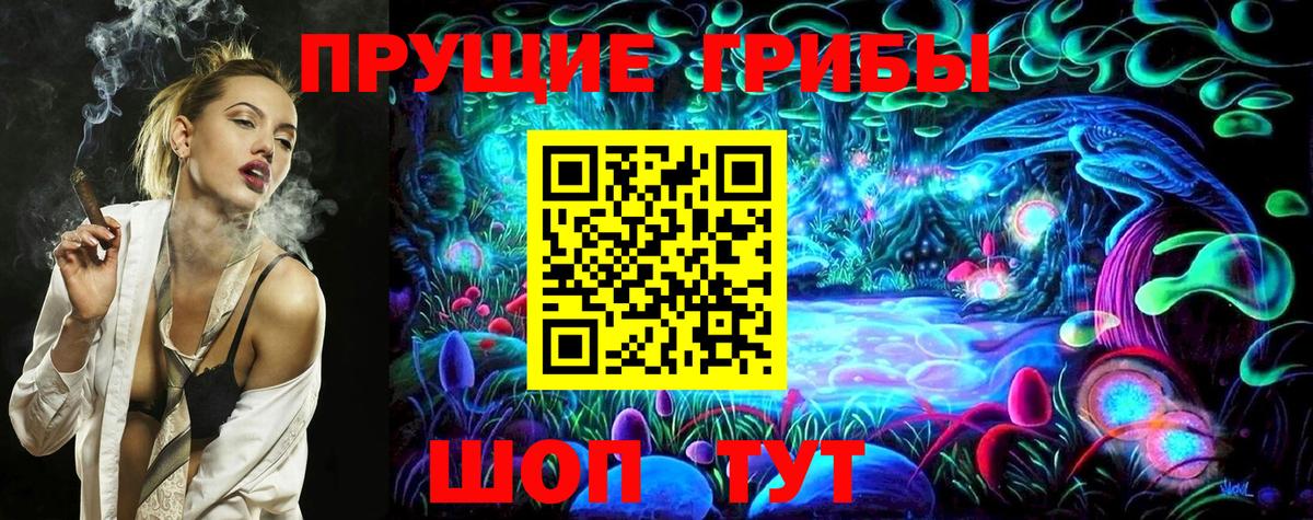 Уссурийск  купить наркотики сайты  Псилоцибиновые грибы мицелий  Вход с VPN  Псилоцибиновые грибы мицелий 